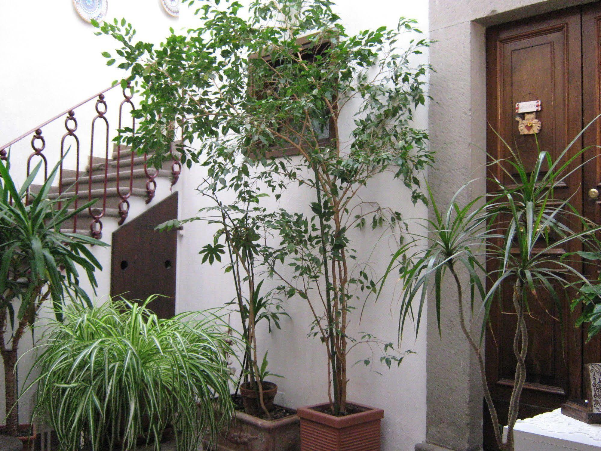 Bb Santa Rosa Bed & Breakfast Витербо Екстериор снимка